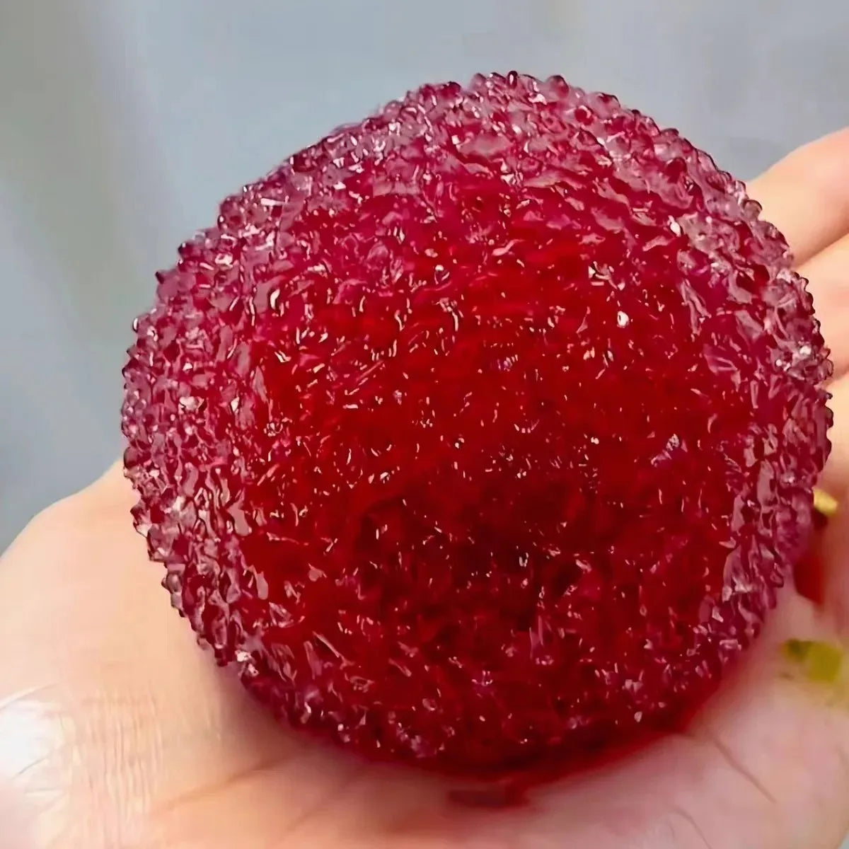 Bayberry Squishy