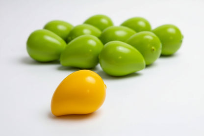 Multi Food Squishes