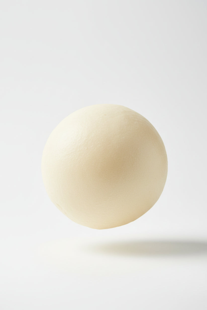 Milk Bun Squishy