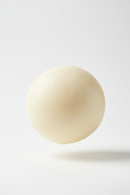 Milk Bun Squishy
