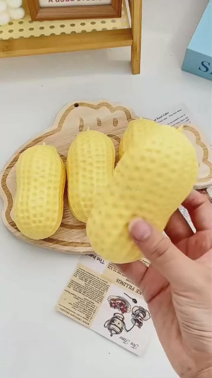 Crunchy Peanut Squishy